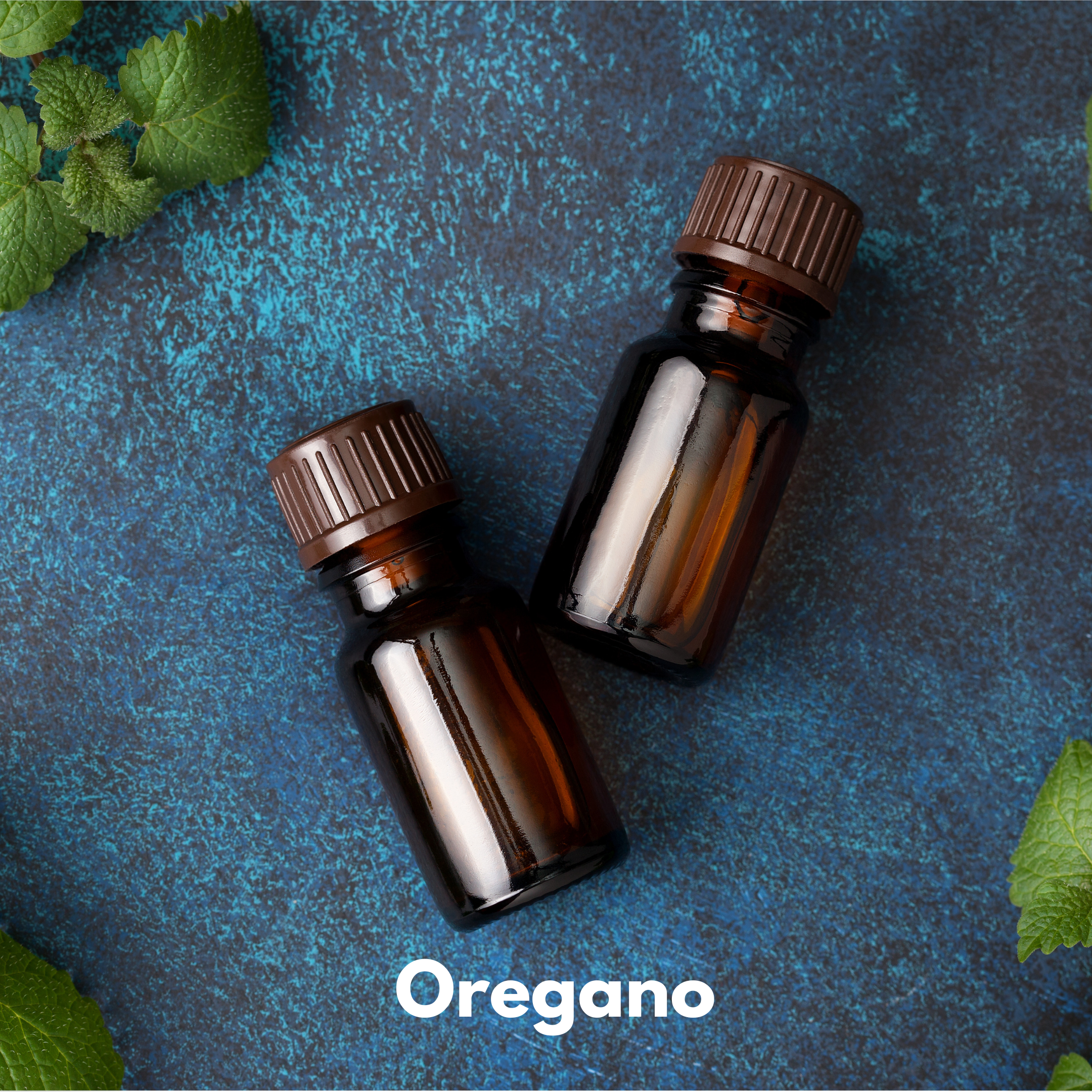 Oregano Oil, Essential Oils